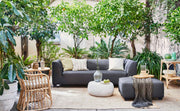Hollandia Ecksofa Carbon